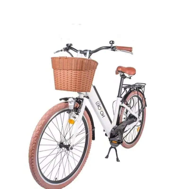 Novoku European style Li batteries 26 inch 25 km